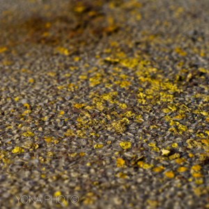 Yellow Paint on Floor