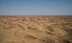 Gobi Desert
