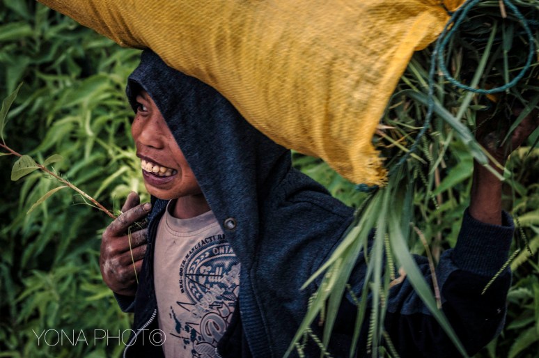 Boy carrying grass and shoots