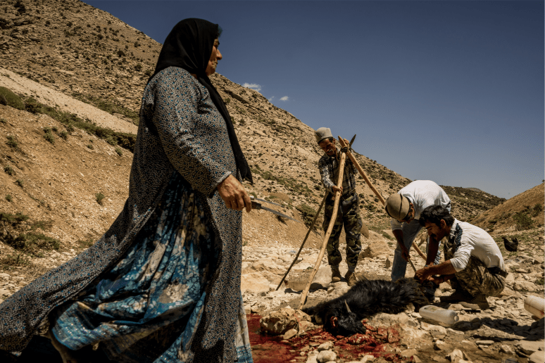 Screen Shot 2016-07-20 at 20.39.21.png