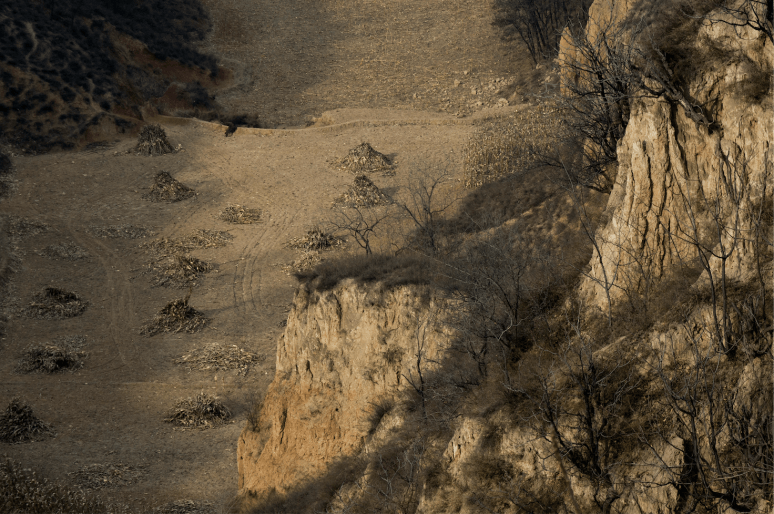 Screen Shot 2016-08-17 at 19.26.01